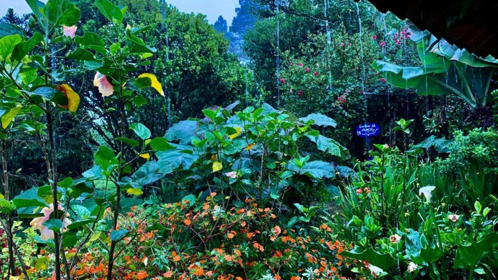 Finca Neblina Del Bosque Esteli Exterior photo